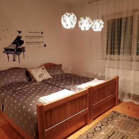 Stan Na Dan Tijana דירה *